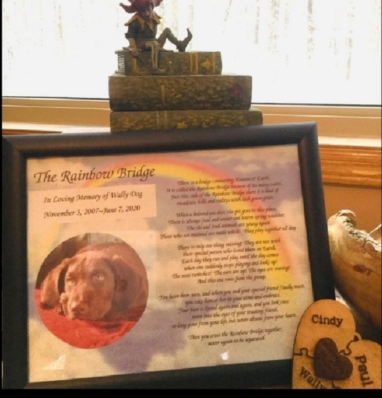 π¦ VINTAGE GIRLS OVERALLS w BUTTERFLY 90's Sz 6 - Picture 14 of 16